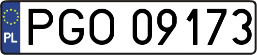 PGO09173