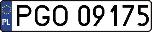 PGO09175
