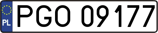 PGO09177