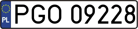 PGO09228