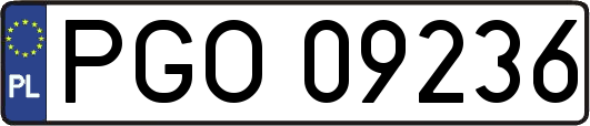 PGO09236