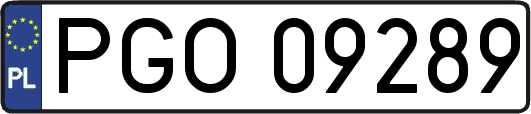 PGO09289