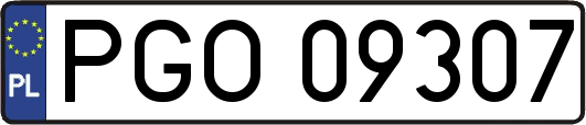 PGO09307
