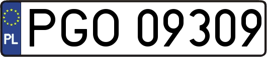 PGO09309