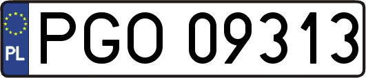 PGO09313