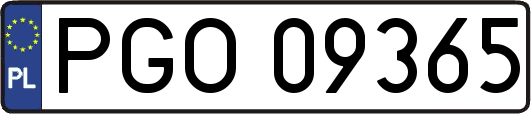 PGO09365