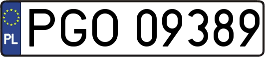 PGO09389