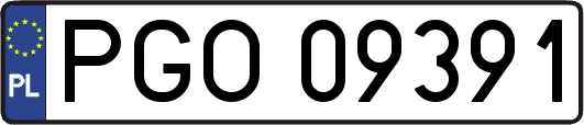 PGO09391