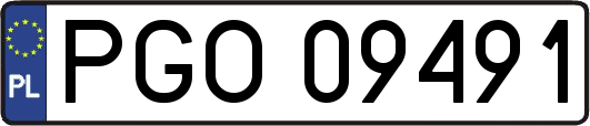 PGO09491