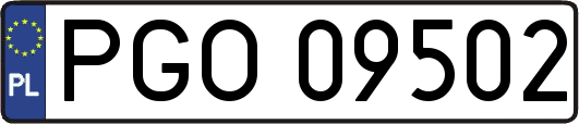 PGO09502