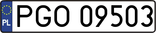 PGO09503