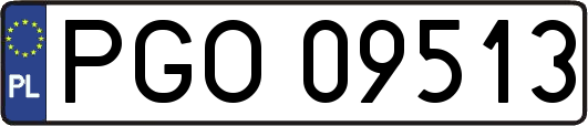 PGO09513
