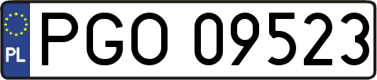 PGO09523