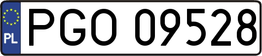 PGO09528