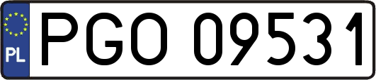PGO09531
