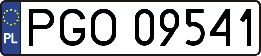 PGO09541