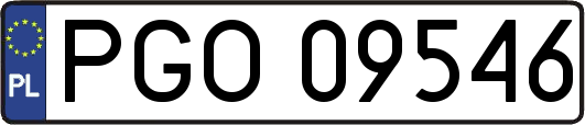 PGO09546