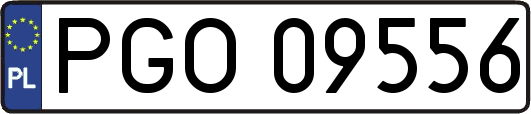 PGO09556