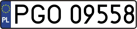 PGO09558