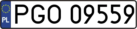 PGO09559