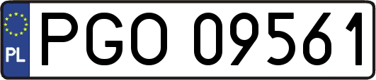 PGO09561