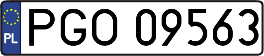 PGO09563