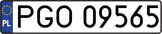 PGO09565