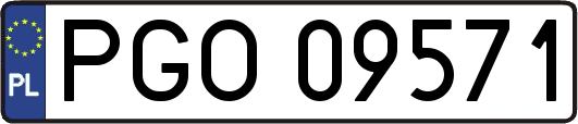 PGO09571