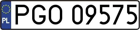PGO09575