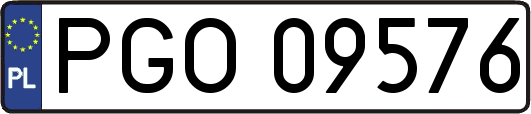PGO09576