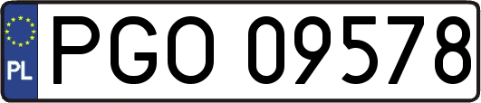 PGO09578