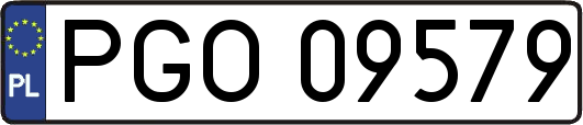 PGO09579
