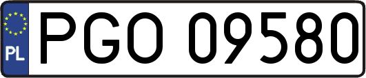 PGO09580