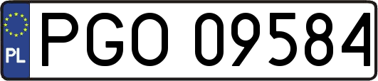 PGO09584
