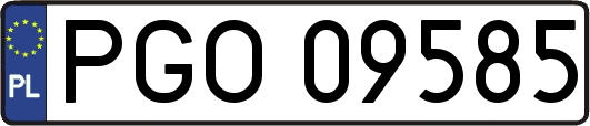 PGO09585