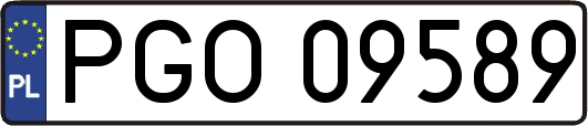 PGO09589