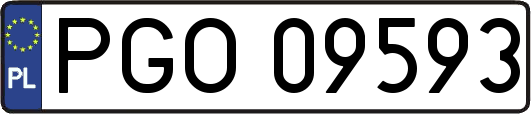 PGO09593