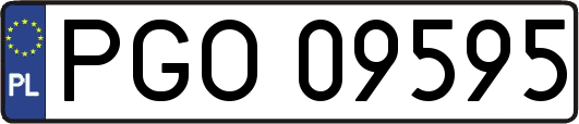 PGO09595