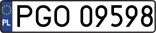 PGO09598