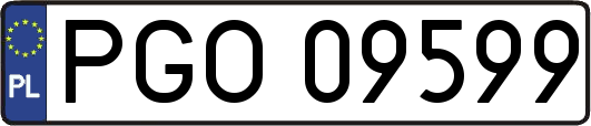 PGO09599