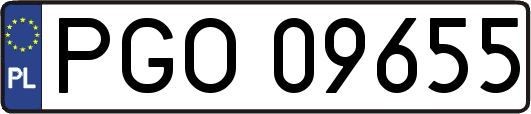 PGO09655