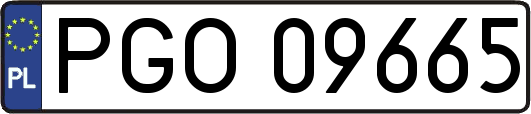 PGO09665
