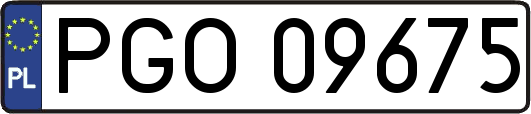 PGO09675