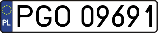 PGO09691