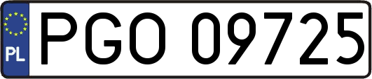 PGO09725