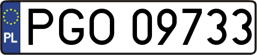 PGO09733
