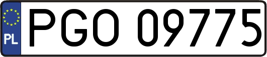 PGO09775