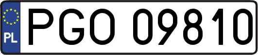 PGO09810