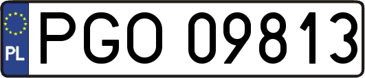 PGO09813