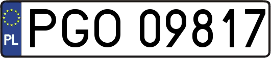 PGO09817